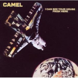 camel: i can see your house from here