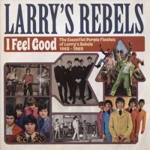 larry's rebels: i feel good: the essential purple flashes of