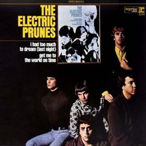 electric prunes: i had too much to dream last night