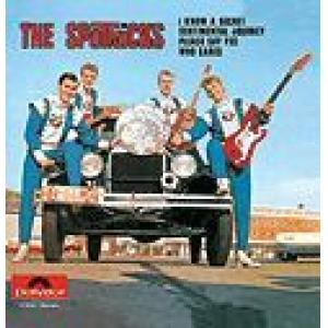 spotnicks, the: i know a secret