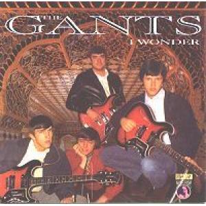 the gants: I Wonder