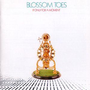 blossom toes: if only for a moment