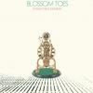 blossom toes: if only for a moment