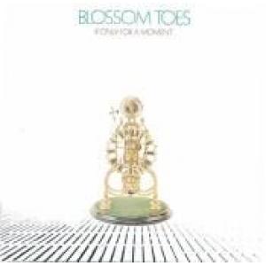 blossom toes: if only for a moment (deluxe)