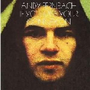 andy fernbach: if you miss your connexion