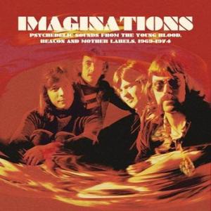 various: imaginations 