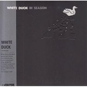 white duck: in season