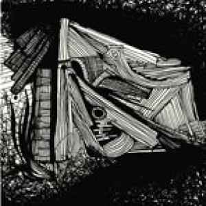 samandtheplants: in the scare shed