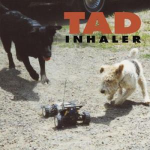 tad: inhaler (record store day 2021 second drop exclusive, limited)