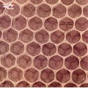 franco leprino: integrati... disintegrati