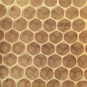 franco leprino: integrati ... disintegrati