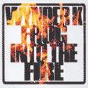 wynder k. frog: into the fire