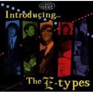 e-types: introducing the e-types