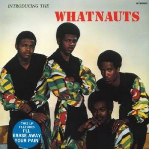 whatnauts: introducing the whatnauts