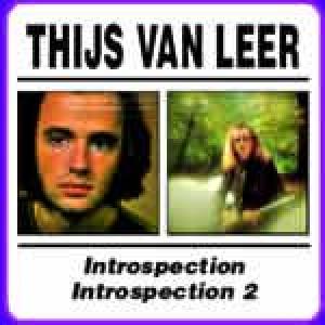 thijs van leer: introspection/introspection 2