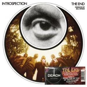 the end: introspection / retrospection (record store day 2018 exclusive, limited)