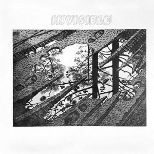 invisible: invisible (+7