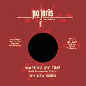 the new breed: it's love / wasting my time