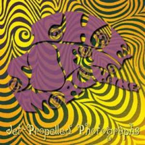 soft machine: jet-propelled photographs