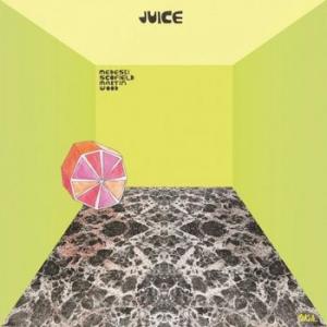 medeski / scofield / martin / wood: juice