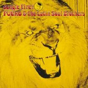 pucho & the latin soul brothers: jungle fire