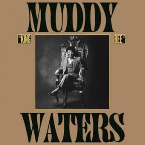 muddy waters: king bee 