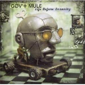 gov't mule: life before insanity