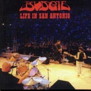 budgie: life in san antonio