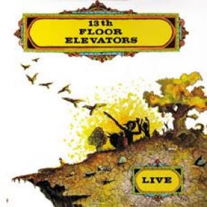 13th floor elevators: live