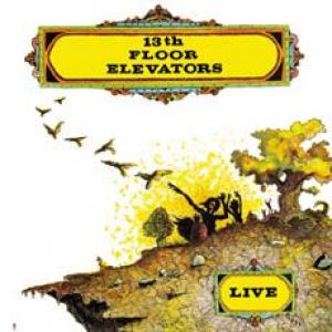 13th floor elevators: live