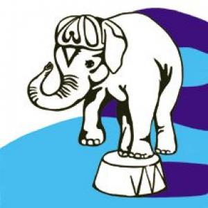 jeff mangum: live at jittery joe's