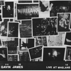 gavin james: live at whelans