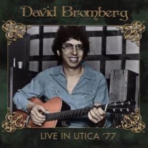 david bromberg: live in utica '77
