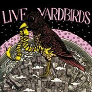 yardbirds feat. jimmy page: live yardbirds