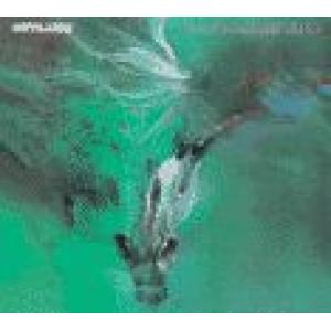 outlaws, the: los hombres malos