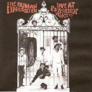 human expression: love at psychedelic velocity