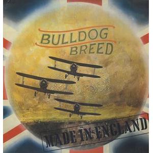 bulldog breed: made in england (+7