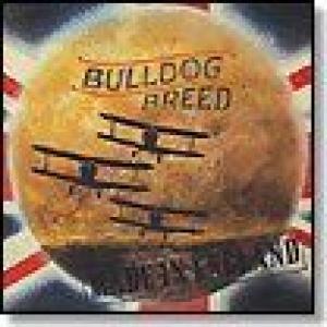 bulldog breed: made in england
