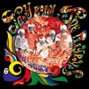 teddy robin & the playboys: magic colours