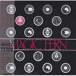 magic fern: magic fern