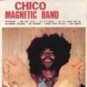 chico magnetic band: magnetic band