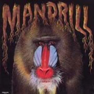 mandrill: mandrill