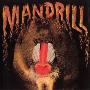 mandrill: mandrill