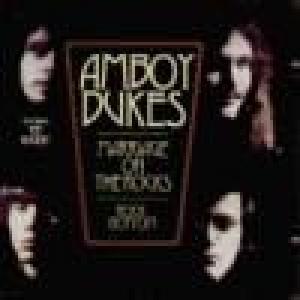 amboy dukes: marriage on the rocks / rock bottom