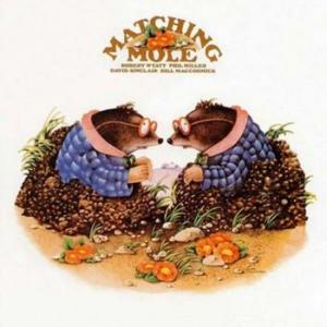 matching mole: matching mole