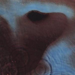 pink floyd: meddle