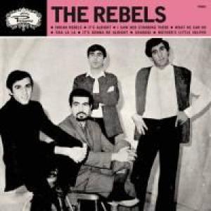 rebels: meet the rebels