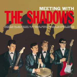 the shadows: meeting with the shadows