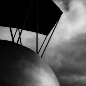 circle: meronia (black)