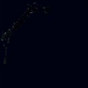 metallica: metallica